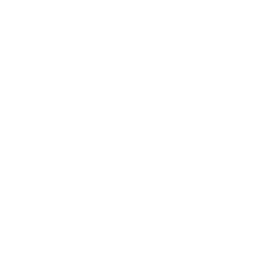 ce logo Austin